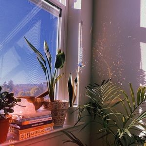 Crystal Heart Sun Catcher